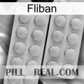 Fliban 19